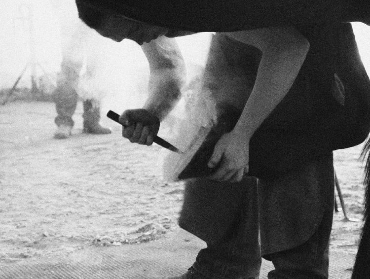 farrier using tool to fit horse shoe