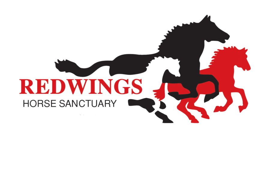 redwings horse sanctuary logo