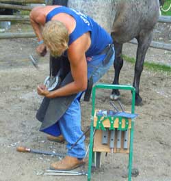 farrier fitting new horseshoe