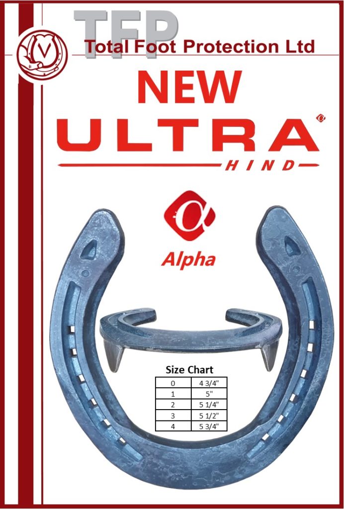 ultra hind flyer horseshoe