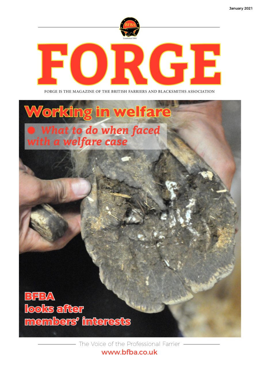Forge Magazine January 2021 Cover