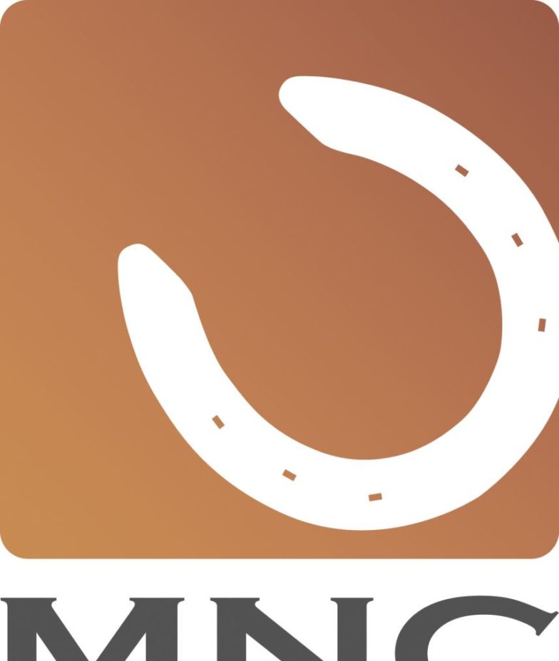 MNC Limited logo