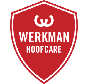 werkman logo