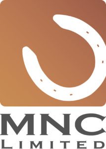 MNC Horseshoes