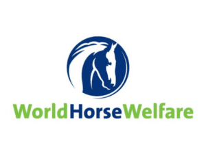 World Horse Welfare
