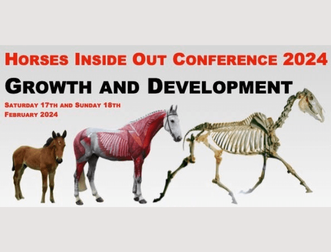 Horses Inside Out