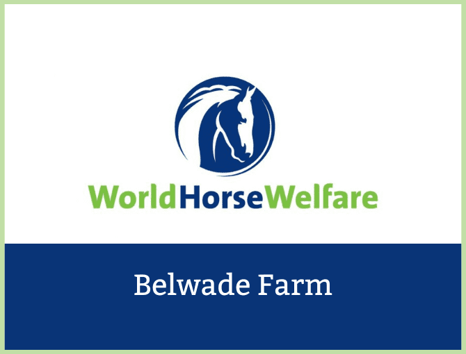 World Horse Welfare Belwade Farm