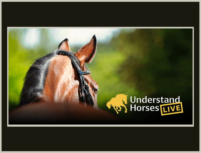 Understand Horses Live