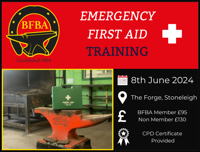 First Aid Training Day
