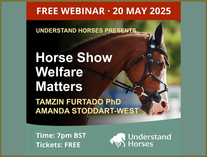 Understand Horses Horse Show Welfare Matters