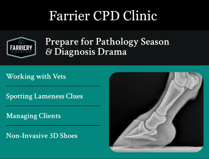 Farriery Tuition CPD Clinic